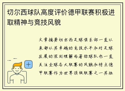 切尔西球队高度评价德甲联赛积极进取精神与竞技风貌